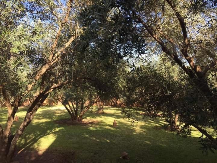 Riad Sidi Hicham Ouled Bouzid Εξωτερικό φωτογραφία